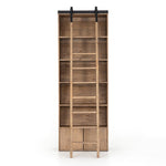 Bane Bookshelf with Ladder Front View