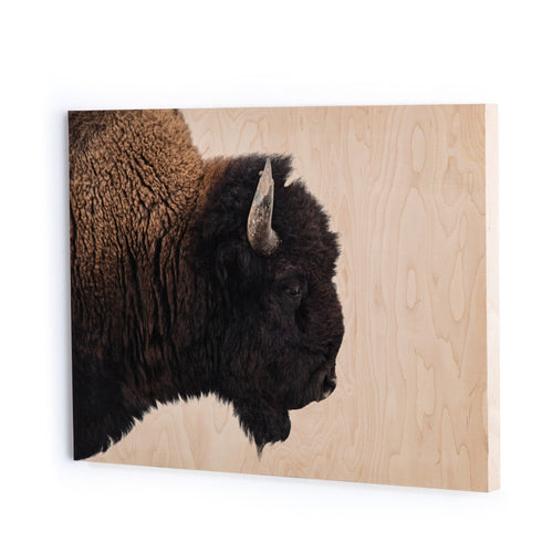 American Bison Maple Box Angled View 103657-002