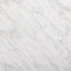 Bellamy Rectangular Coffee Table White Carrara Marble Material Detail 239443-001