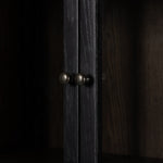 Bolsa Cabinet 236339-005 door hangle view 