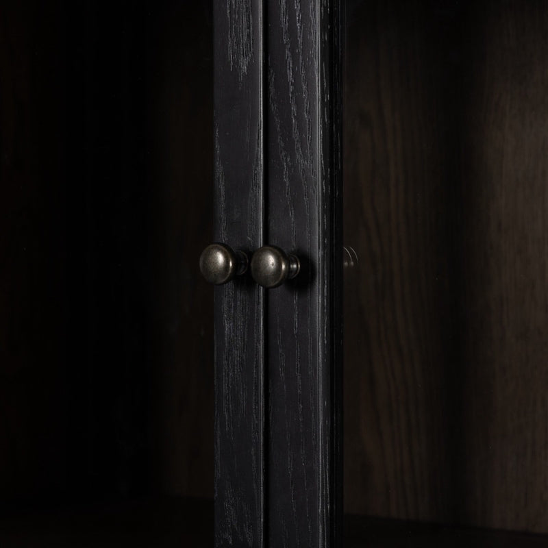 Bolsa Cabinet 236339-005 door hangle view 