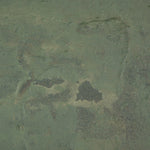 Carrying The Olive Branch No.2 by Tyler Guinn Matte Canvas Detail Four Hands
