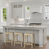 Colony Counter Stool 50352 staged view 