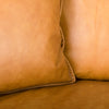Mercana D'Arcy Sectional Sofa pillow detail view 