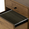 Eaton Filing Cabinet Amber Oak Resin Open Drawers 227839-002
