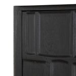 Ezri Cabinet 241253-002 door panel detail