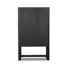 Ezri Cabinet 241253-002 back view