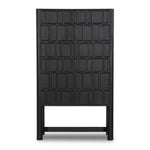 Ezri Cabinet 241253-002 front facing view