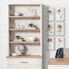 Mercana Fairview Bookcase staged close up 