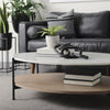 Mercana Larkin Coffee Table staged coffee table 