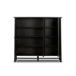 Renaud 3-Door Cabinet 241761-002 front open door view