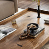 Four Hands The Don't Try To Explain It Table Distressed Brown Veneer Staged Tabletop View