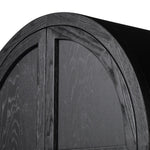 Tolle Panel Door Cabinet Drifted Matte Black Arched Top 234782-001