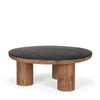 Mercana Tucson Coffee Table angled view 