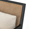 Antonia Cane Accent Chair - Brushed Ebony