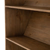 Bane Bookshelf with Ladder Shelf Details